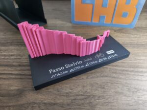 STELVIO Trofeo Altimétrico 3D Ciclistas